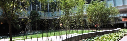 A green courtyard